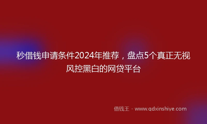 秒借钱申请条件2024年推荐，盘点5个真正无视风控黑白的网贷平台