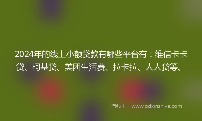 2024年的线上小额贷款有哪些平台有：维信卡卡贷、柯基贷、美团生活费、拉卡拉、人人贷等。