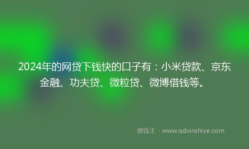 2024年的网贷下钱快的口子有：小米贷款、京东金融、功夫贷、微粒贷、微博借钱等。