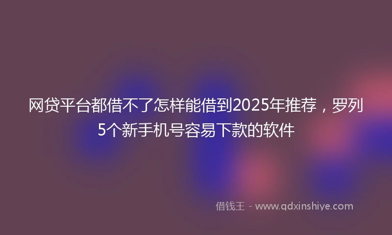 网贷平台都借不了怎样能借到2025年推荐，罗列5个新手机号容易下款的软件