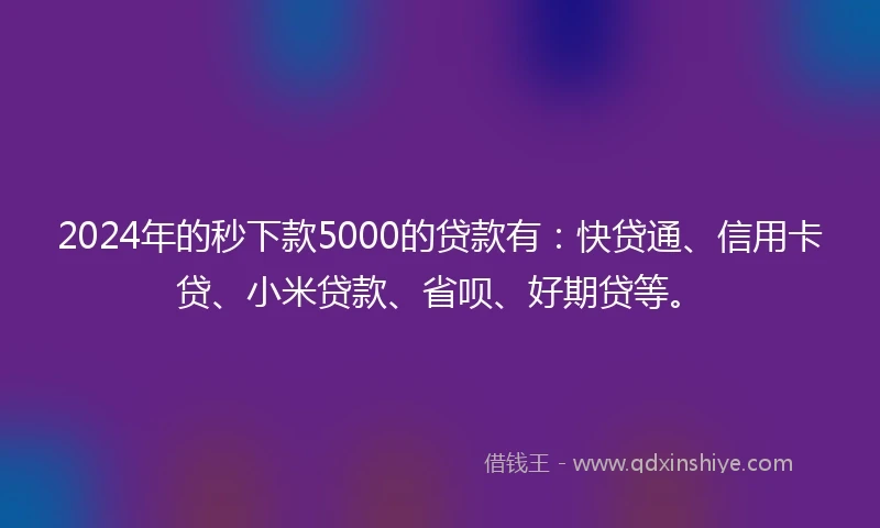 2024年的秒下款5000的贷款有：快贷通、信用卡贷、小米贷款、省呗、好期贷等。