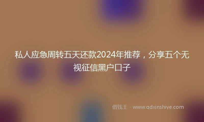 私人应急周转五天还款2024年推荐，分享五个无视征信黑户口子