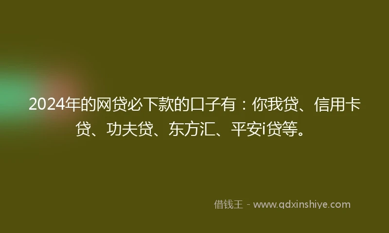 2024年的网贷必下款的口子有：你我贷、信用卡贷、功夫贷、东方汇、平安i贷等。