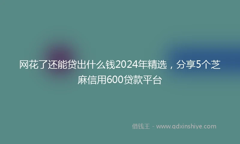 网花了还能贷出什么钱2024年精选，分享5个芝麻信用600贷款平台