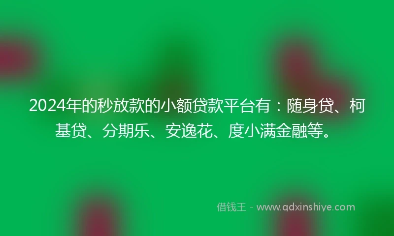2024年的秒放款的小额贷款平台有：随身贷、柯基贷、分期乐、安逸花、度小满金融等。