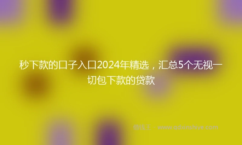 秒下款的口子入口2024年精选，汇总5个无视一切包下款的贷款
