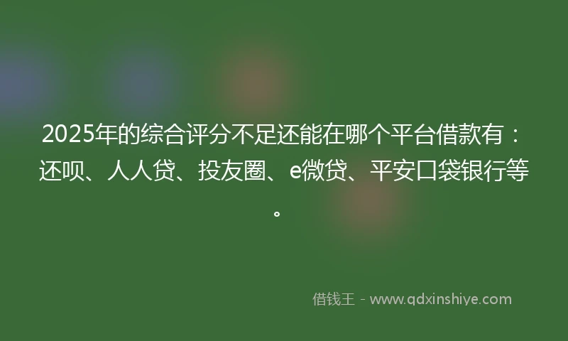 2025年的综合评分不足还能在哪个平台借款有：还呗、人人贷、投友圈、e微贷、平安口袋银行等。