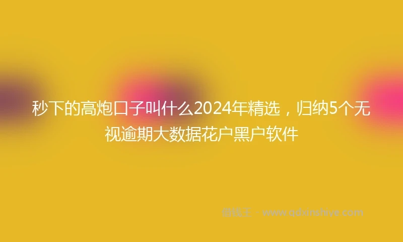 秒下的高炮口子叫什么2024年精选，归纳5个无视逾期大数据花户黑户软件
