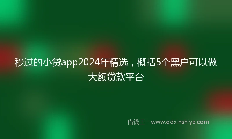 秒过的小贷app2024年精选，概括5个黑户可以做大额贷款平台