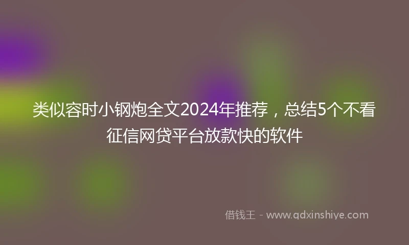 类似容时小钢炮全文2024年推荐，总结5个不看征信网贷平台放款快的软件