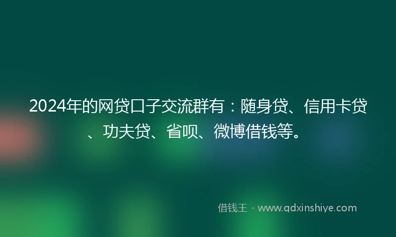 2024年的网贷口子交流群有：随身贷、信用卡贷、功夫贷、省呗、微博借钱等。