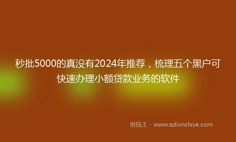 秒批5000的真没有2024年推荐，梳理五个黑户可快速办理小额贷款业务的软件