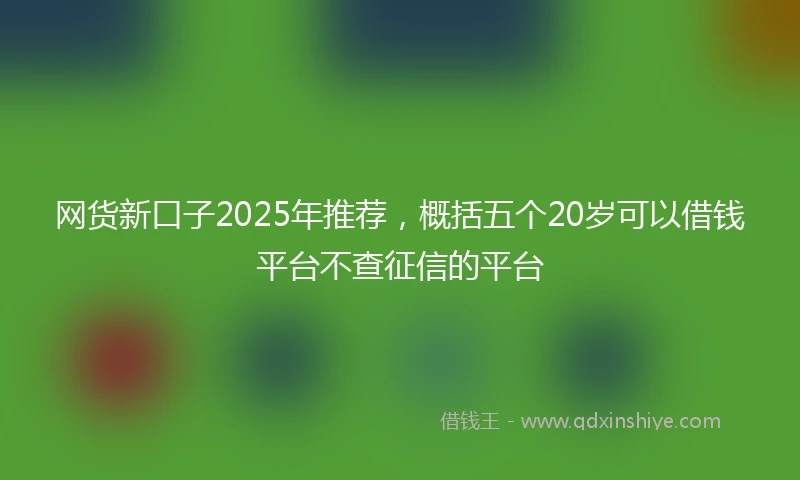 网货新口子2025年推荐，概括五个20岁可以借钱平台不查征信的平台