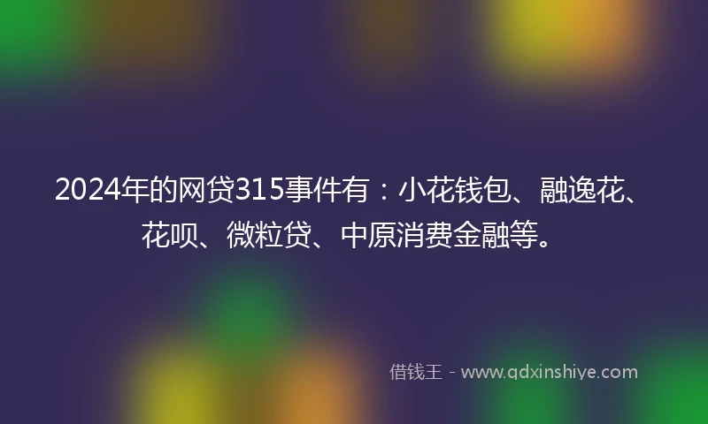 2024年的网贷315事件有：小花钱包、融逸花、花呗、微粒贷、中原消费金融等。