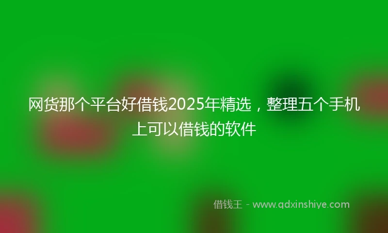 网货那个平台好借钱2025年精选，整理五个手机上可以借钱的软件