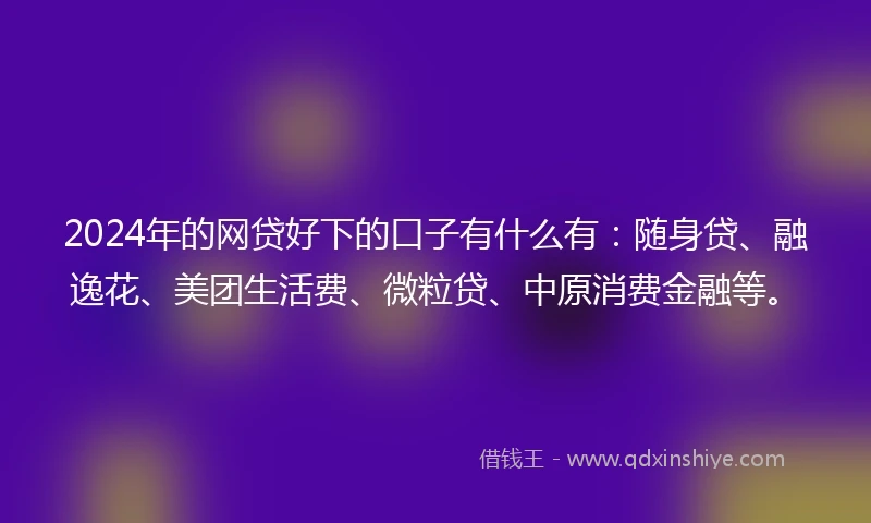 2024年的网贷好下的口子有什么有：随身贷、融逸花、美团生活费、微粒贷、中原消费金融等。