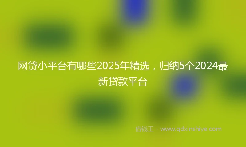 网贷小平台有哪些2025年精选，归纳5个2024最新贷款平台