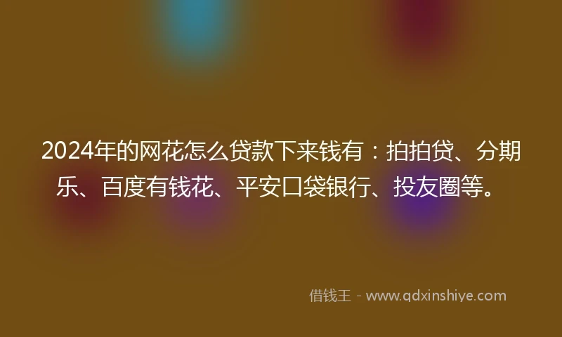 2024年的网花怎么贷款下来钱有：拍拍贷、分期乐、百度有钱花、平安口袋银行、投友圈等。