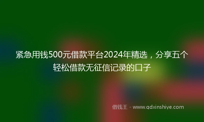 紧急用钱500元借款平台2024年精选，分享五个轻松借款无征信记录的口子
