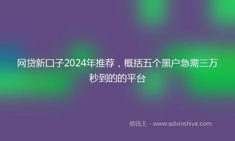 网贷新囗子2024年推荐，概括五个黑户急需三万秒到的的平台