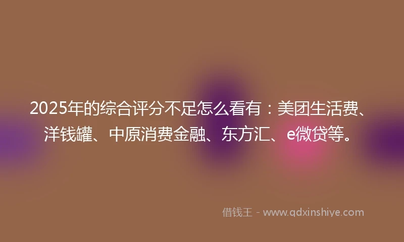 2025年的综合评分不足怎么看有：美团生活费、洋钱罐、中原消费金融、东方汇、e微贷等。