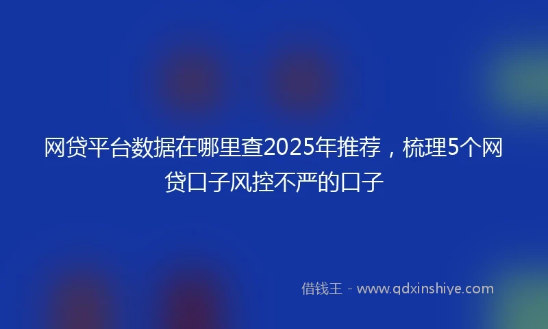 网贷平台数据在哪里查2025年推荐，梳理5个网贷口子风控不严的口子