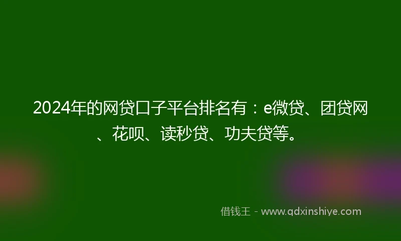 2024年的网贷口子平台排名有：e微贷、团贷网、花呗、读秒贷、功夫贷等。