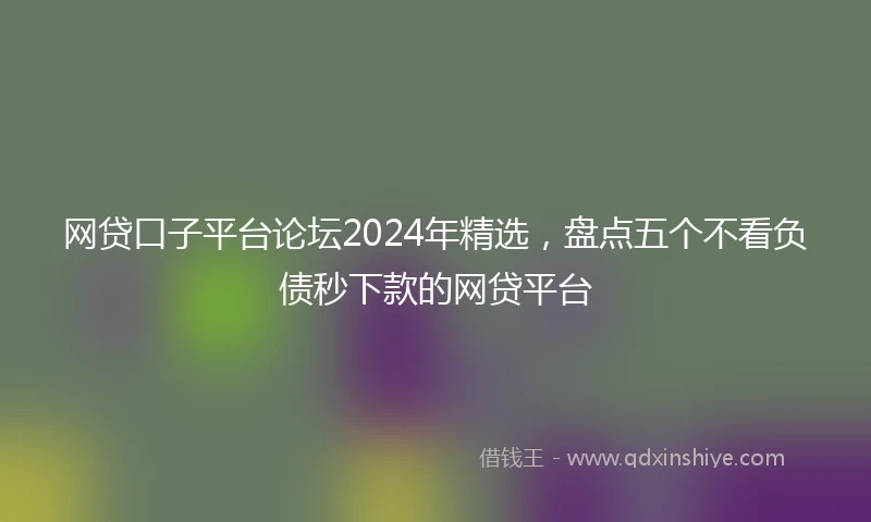 网贷口子平台论坛2024年精选，盘点五个不看负债秒下款的网贷平台