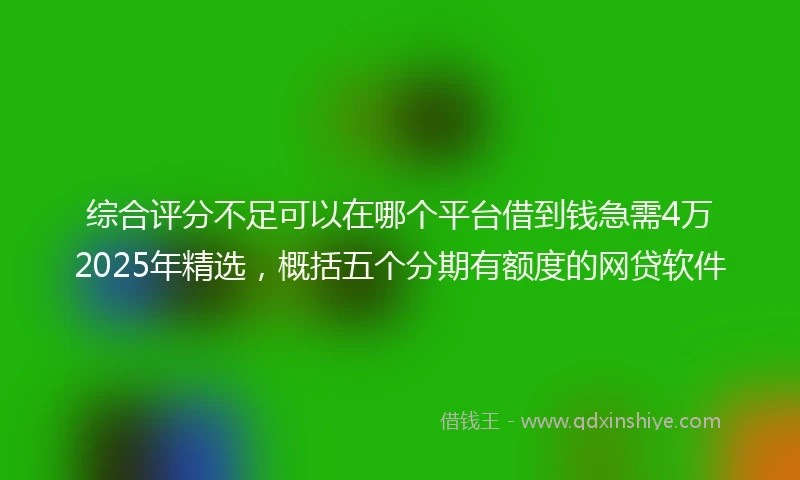 综合评分不足可以在哪个平台借到钱急需4万2025年精选，概括五个分期有额度的网贷软件