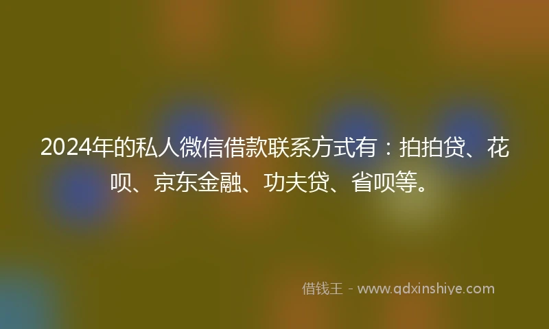 2024年的私人微信借款联系方式有：拍拍贷、花呗、京东金融、功夫贷、省呗等。