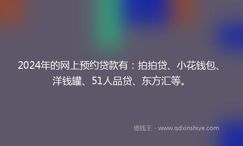 2024年的网上预约贷款有：拍拍贷、小花钱包、洋钱罐、51人品贷、东方汇等。