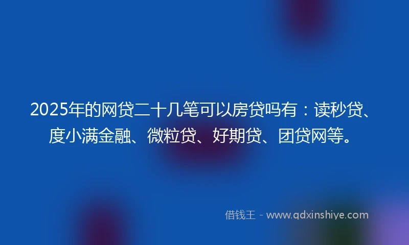 2025年的网贷二十几笔可以房贷吗有：读秒贷、度小满金融、微粒贷、好期贷、团贷网等。