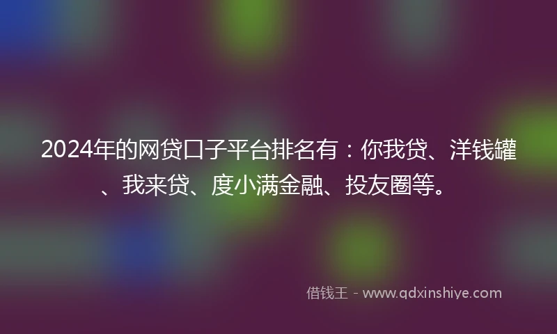 2024年的网贷口子平台排名有：你我贷、洋钱罐、我来贷、度小满金融、投友圈等。