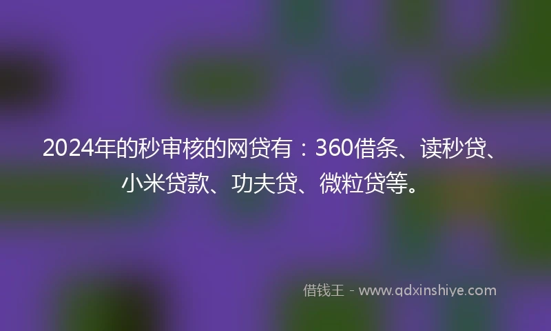 2024年的秒审核的网贷有：360借条、读秒贷、小米贷款、功夫贷、微粒贷等。