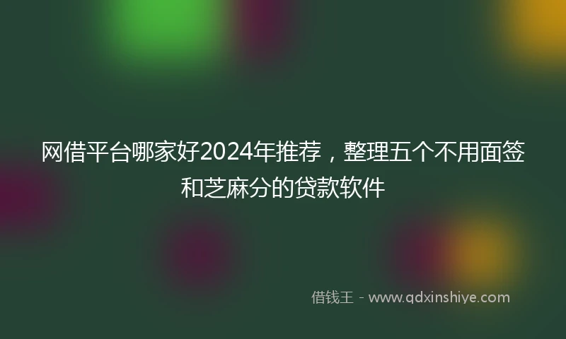 网借平台哪家好2024年推荐，整理五个不用面签和芝麻分的贷款软件