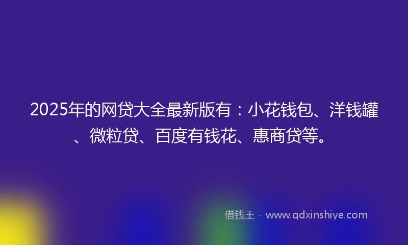 2025年的网贷大全最新版有：小花钱包、洋钱罐、微粒贷、百度有钱花、惠商贷等。