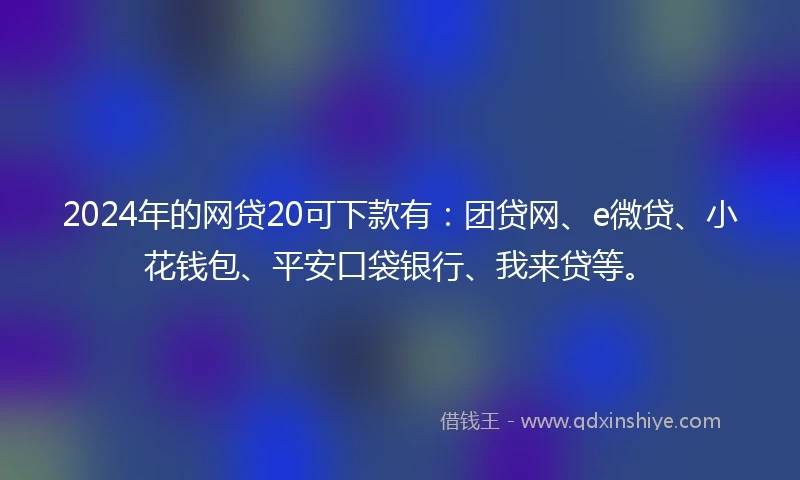 2024年的网贷20可下款有：团贷网、e微贷、小花钱包、平安口袋银行、我来贷等。