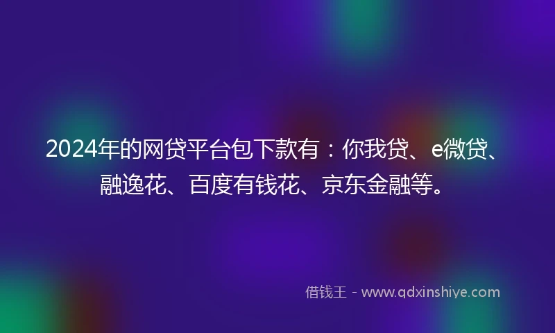 2024年的网贷平台包下款有：你我贷、e微贷、融逸花、百度有钱花、京东金融等。