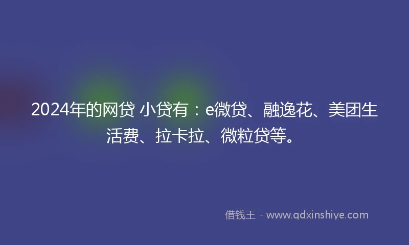 2024年的网贷 小贷有：e微贷、融逸花、美团生活费、拉卡拉、微粒贷等。