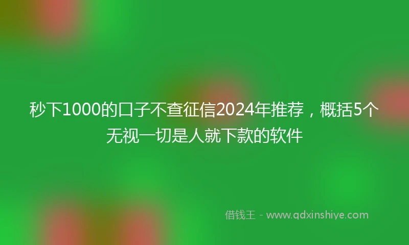 秒下1000的口子不查征信2024年推荐，概括5个无视一切是人就下款的软件