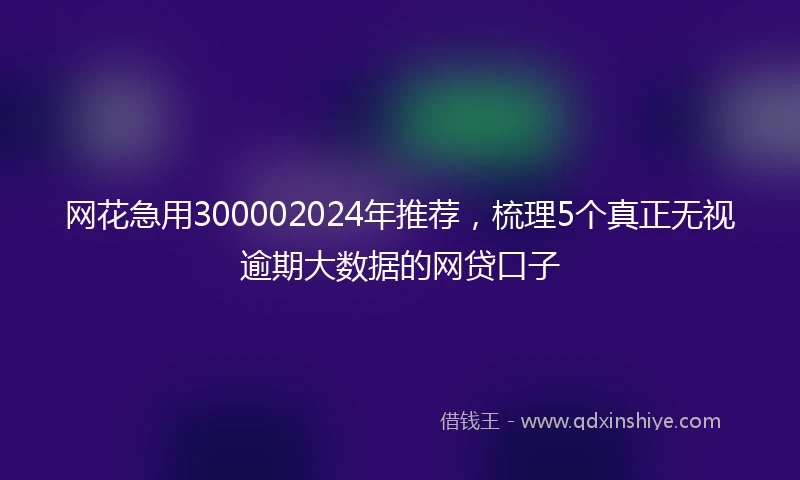 网花急用300002024年推荐，梳理5个真正无视逾期大数据的网贷口子