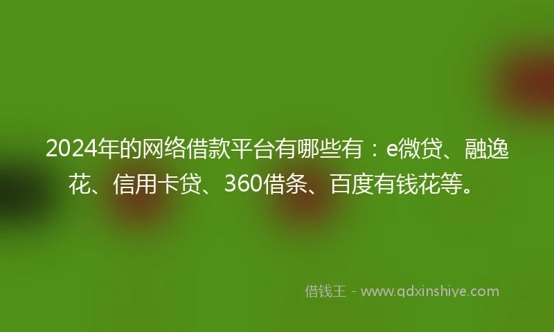 2024年的网络借款平台有哪些有：e微贷、融逸花、信用卡贷、360借条、百度有钱花等。