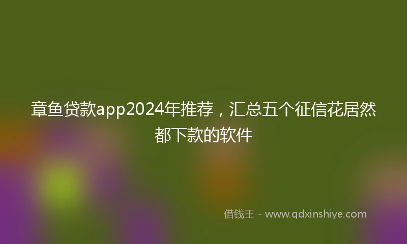 章鱼贷款app2024年推荐，汇总五个征信花居然都下款的软件