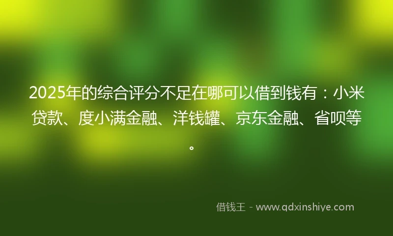2025年的综合评分不足在哪可以借到钱有：小米贷款、度小满金融、洋钱罐、京东金融、省呗等。