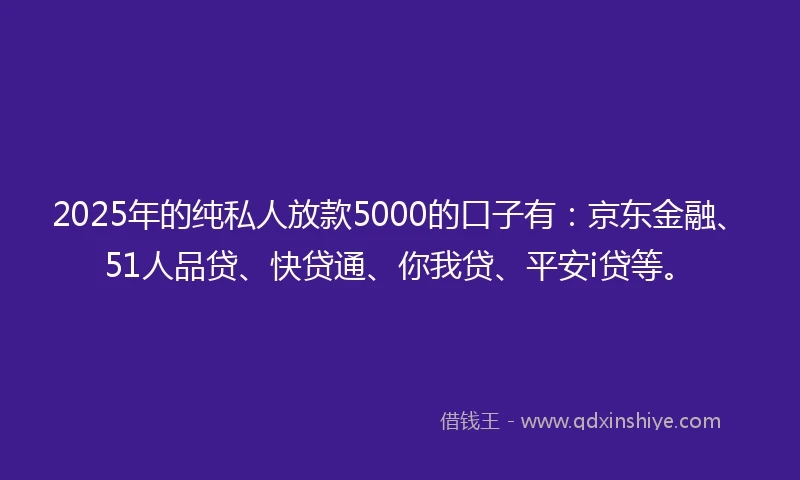 2025年的纯私人放款5000的口子有：京东金融、51人品贷、快贷通、你我贷、平安i贷等。