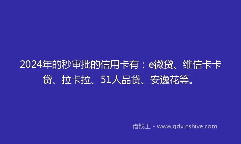 2024年的秒审批的信用卡有：e微贷、维信卡卡贷、拉卡拉、51人品贷、安逸花等。