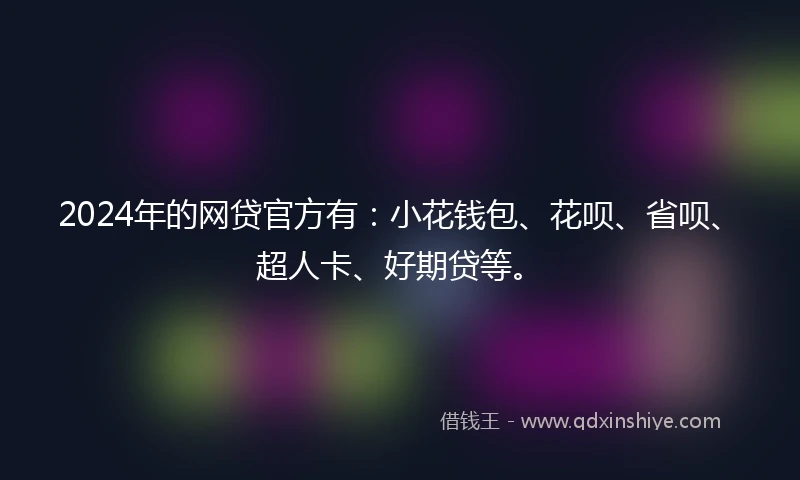 2024年的网贷官方有：小花钱包、花呗、省呗、超人卡、好期贷等。