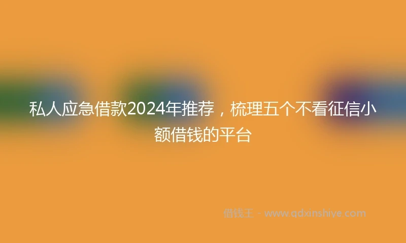 私人应急借款2024年推荐，梳理五个不看征信小额借钱的平台