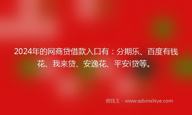 2024年的网商贷借款入口有：分期乐、百度有钱花、我来贷、安逸花、平安i贷等。