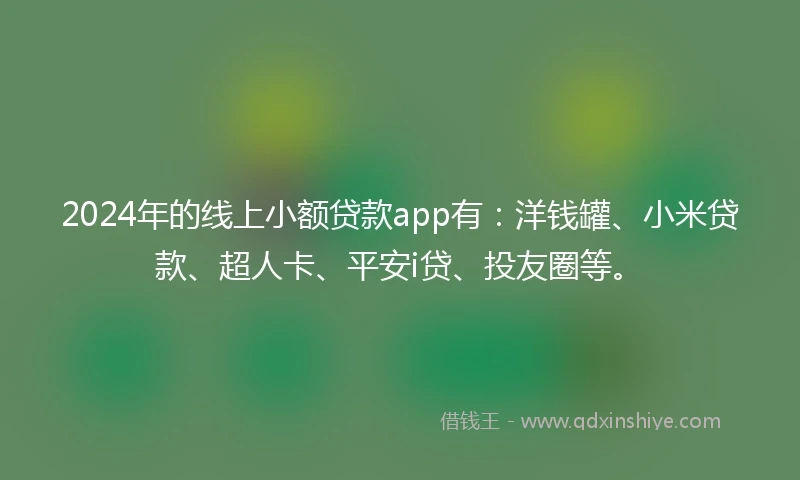 2024年的线上小额贷款app有：洋钱罐、小米贷款、超人卡、平安i贷、投友圈等。